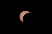 Sonnensichel